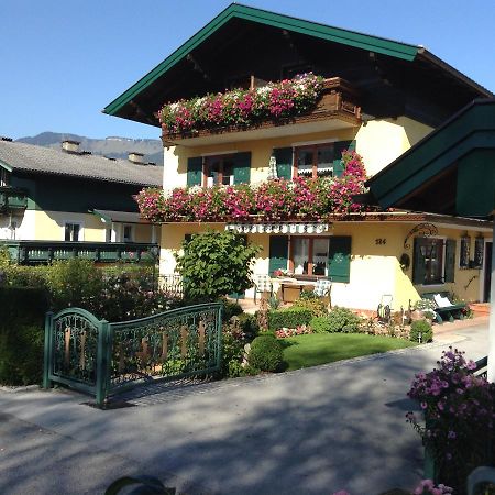 Ferienwohnung Neureiter Golling an der Salzach Ngoại thất bức ảnh